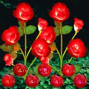Color-Changing Solar Garden Roses